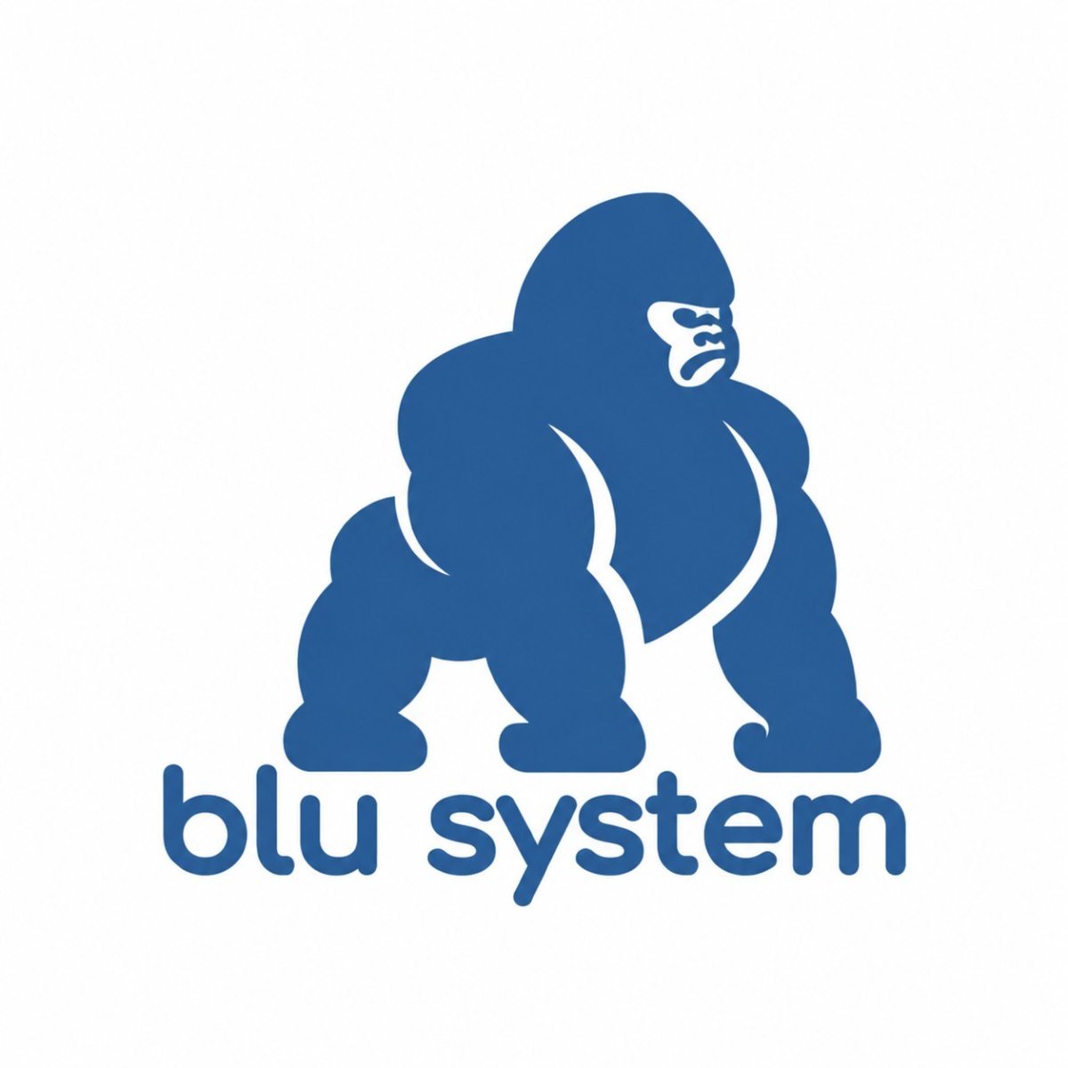 Blu System