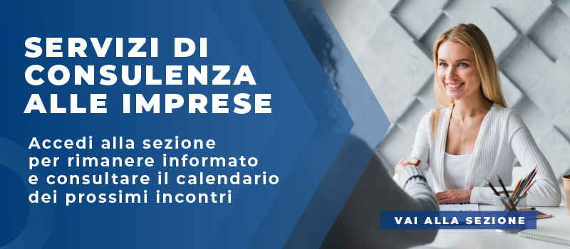 SERVIZI DI CONSULENZA ALLE IMPRESE