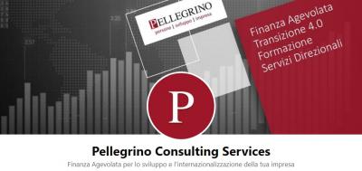 News_Pellegrino_Consulting_Services
