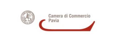 Camera_di_Commercio_di_Pavia_AGGIORNAMENTO_INFORMATIVO_VI_VI_FIR_e_LIBRI_DIGITALI