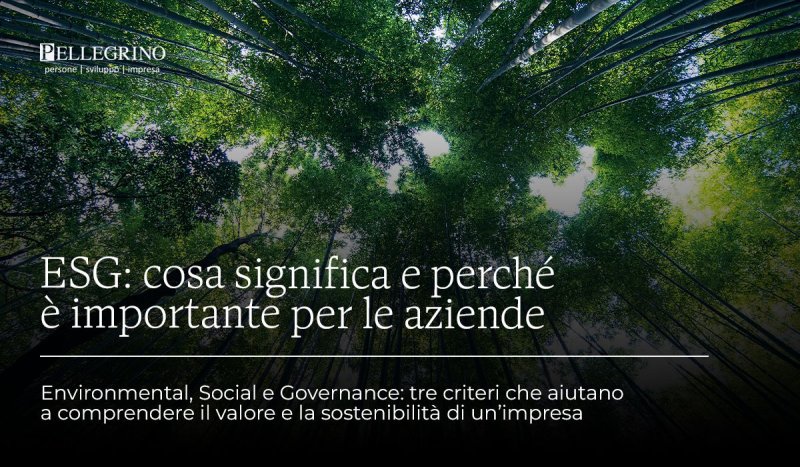 ESG: tre lettere che raccontano la sostenibilità di un’impresa